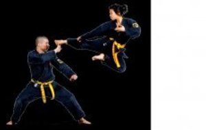 Calendriers prévisionnels saison 2012/2013