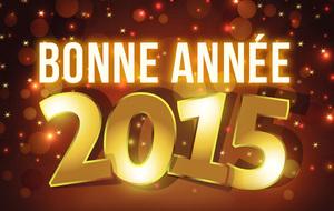 MEILLEURS VOEUX 2015
