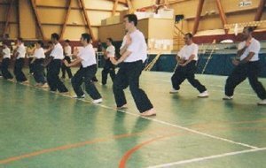 RASSEMBLEMENT ANNUEL ECOLE TRUC LIEN VO DAO