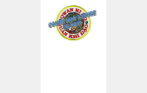 Cours QWAN KI DO 12 et 17 février 2016