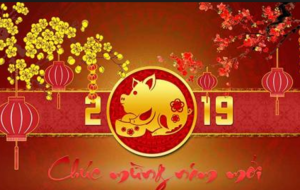 chúc mừng năm mới 2019 !