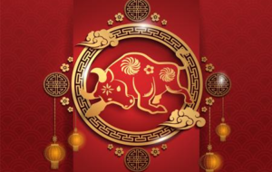 CHÚC MỪNG NĂM MỚI 2021 !