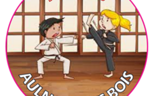 COURS CROISES KARATE-VIET VO DAO