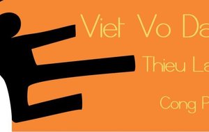 logo Viet final.JPG