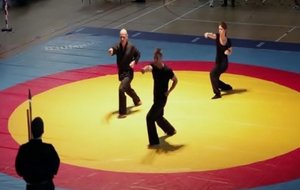 PremiÃ¨re Nuit des Arts Martiaux Ã  Aulnay sous bo