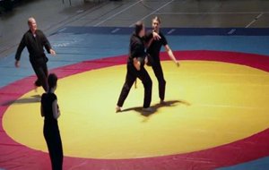 PremiÃ¨re Nuit des Arts Martiaux Ã  Aulnay sous bo