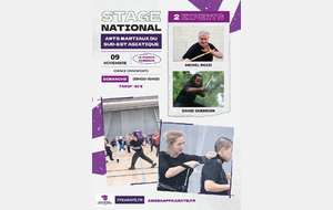 STAGE EXPERTS FEDERAUX AMSEA