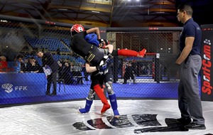 Championnat de France Karate Mix  Light