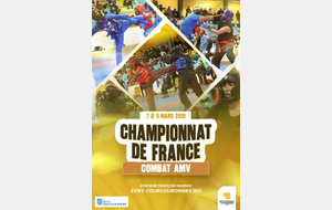 Championnat de France combats AMV et VO TU DO