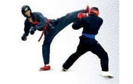 REPRISE DES COURS SAISON 2012/2013