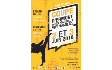 COUPE D'ERMONT AMV 2018
