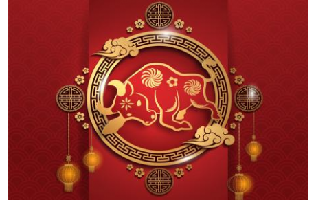 CHÚC MỪNG NĂM MỚI 2021 !