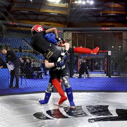 Karaté Mix (MMA)