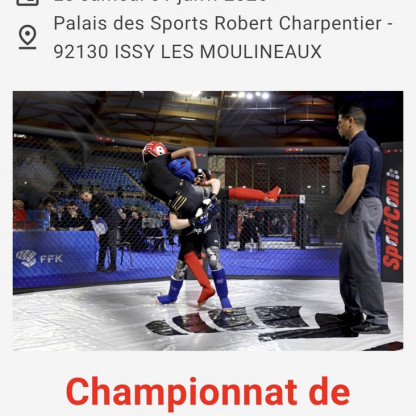Karaté Mix (MMA)